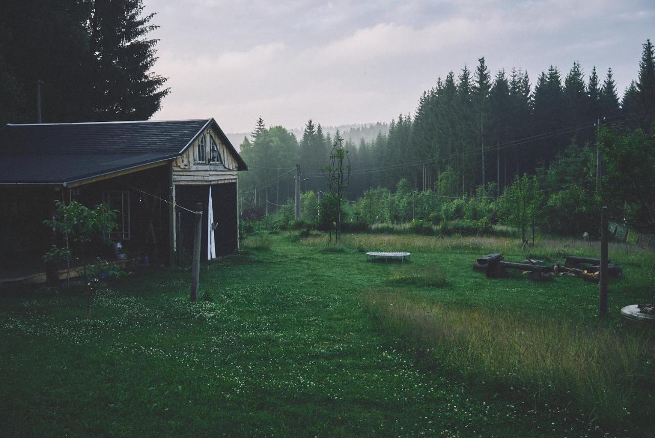 Willa Blickinsfreie - Cabin Schöneck Zewnętrze zdjęcie